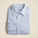Bengal Stripe Blue Whit