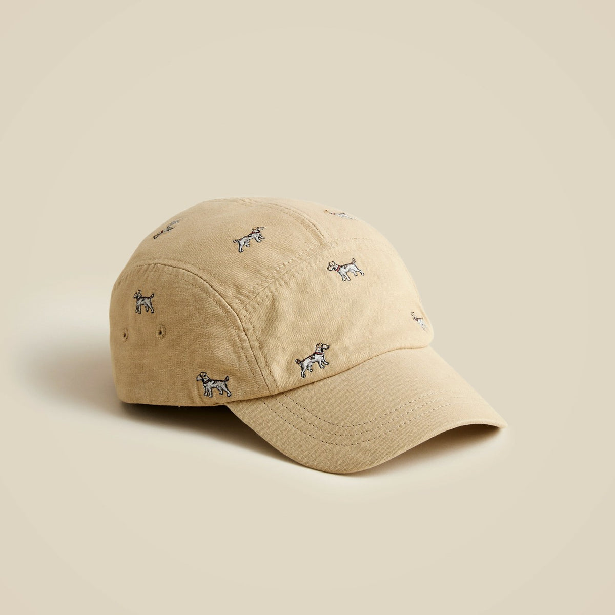 Men Cotton five-panel ball cap - J.Crew