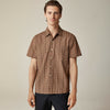 Vine Stripe Tan Brown